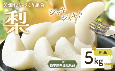 梨 新高梨 5kg 矢畑むらづくり組合[9月中旬-9月末に出荷予定] [栃木県共通返礼品 栃木県産][配送不可地域あり](離島)梨梨梨