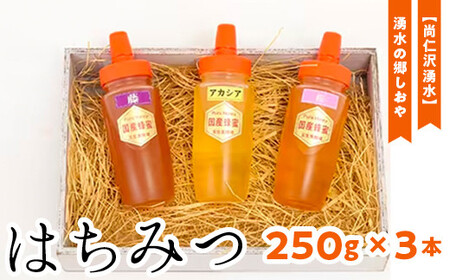 [尚仁沢湧水]湧水の郷しおや はちみつ250g×3本セット◇