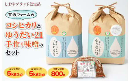 ≪先行受付≫有坂ファームの令和7年産コシヒカリとゆうだい21（5kg×2）・手作り味噌（800g）のセット（しおやブランド認定品） ※2025年10月下旬から順次発送