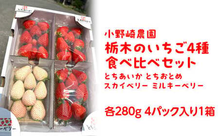 [先行受付]いちご王国栃木 いちご4種食べ比べセット (とちあいか とちおとめ スカイベリー ミルキーベリー各280g 4パック入り1箱) |果物 栃木県産 小野崎農園 数量限定 期間限定※2026年1月上旬〜3月下旬頃に順次発送予定