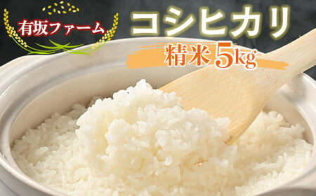 ≪先行受付≫有坂ファームの令和7年産コシヒカリ 精米5kg