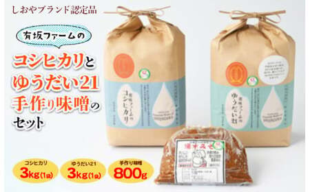 ≪先行受付≫有坂ファームの令和7年産コシヒカリとゆうだい21（3kg×2）・手作り味噌（800g）のセット（しおやブランド認定品）
