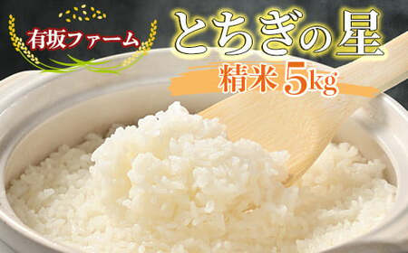 Lt@[̗ߘa7NYƂ̐ 5kg 2025N10{菇\