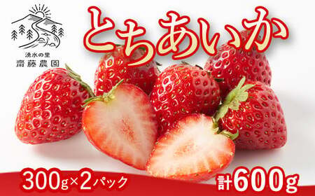とちあいか(300g×2パック 計600g)風袋入り | 手作り 厳選 農家 特産品 新鮮 フレッシュ ストロベリー 苺 イチゴ 栃木県 塩谷町 ※2025年12月上旬〜2026年4月下旬頃に順次発送予定 ※北海道・沖縄・離島への配送不可