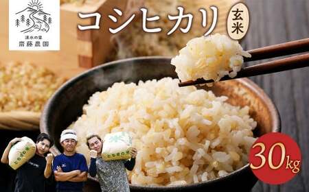 [先行受付]令和7年産新米 コシヒカリ玄米30kg | 米 お米 国産 栃木県 塩谷町 ※2025年12月上旬頃より順次発送予定