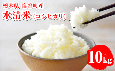 āiRVqJj10kgbЂ  V   R SI Y Yn Ԍ Ȗ، J 2025N10{菇\