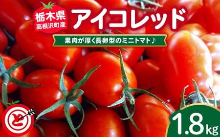 �����򒬎Y�~�j�g�}�g�A�C�R���b�h 1.8kg ���k�C���E����E�����ւ̔z���s�� ��2025�N11�����{�`2026�N3�����{���ɏ��������\�� | �g�}�g �Ƃ܂� �~�j�g�}�g �݂ɂƂ܂� �A�C�R ���b�h �A�C�R