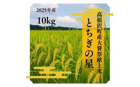高根沢町産とちぎの星(精米)10kg ※離島への配送不可 ※2026年1月中旬〜6月中旬頃に順次発送予定