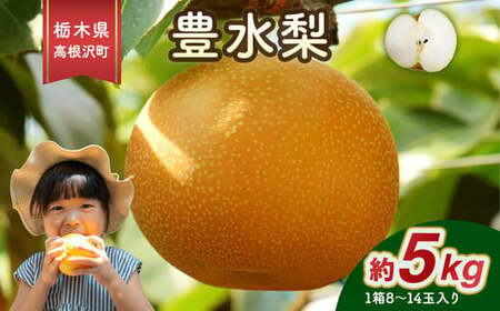 高根沢町産 豊水梨 約5kg（8～14玉）| 梨 なし ナシ 果物 くだもの フルーツ 甘い 秋の味覚 産地直送 期間限定 季節限定 季節商品 送料無料 国産 栃木県 高根沢町※2026年9月～発送