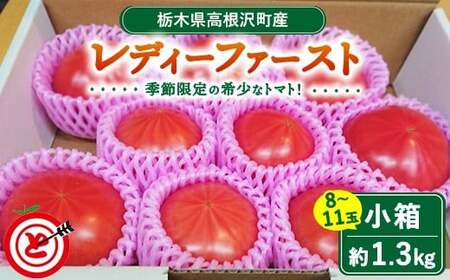 高根沢町産トマト「レディーファースト」 小箱(約1.3kg 8〜11玉)※北海道・沖縄・離島への配送不可 ※2026年1月上旬〜3月下旬頃に順次発送予定
