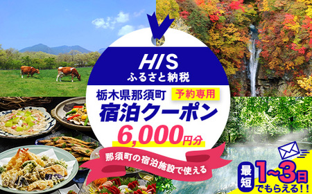 HISふるさと納税宿泊予約専用クーポン(栃木県那須町)6,000円分|宿泊 宿泊券 旅行 旅行券 旅券 クーポン 旅 トラベル お出かけ 温泉 宿泊予約 HIS 那須 〔C-78〕