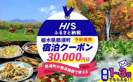 HISふるさと納税宿泊予約専用クーポン（栃木県那須町）30,000円分｜宿泊 宿泊券 旅行 旅行券 旅券 クーポン 旅 トラベル お出かけ 温泉 宿泊予約 HIS 那須 〔G-45〕