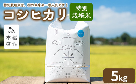 [令和7年産]特別栽培米 コシヒカリ 5kg 〔P-288〕 | こしひかり 米 お米 コメ こめ 精米 濃厚 甘い 国産 那須 栃木県 那須町 ※2025年10月下旬頃より順次発送予定