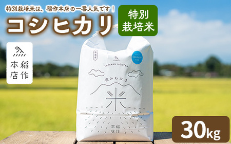 yߘa7NYzʍ͔| RVqJ 30kg kP-292l | Ђ   R   Z Â Y ߐ{ Ȗ، ߐ{ 2025N10{菇\