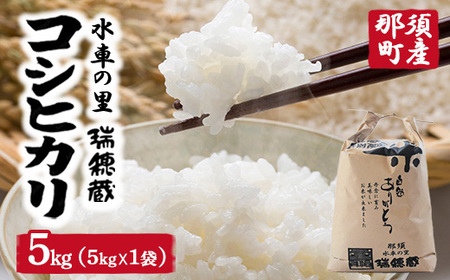 �y�ߘa7�N�Y�z���Ԃ̗��@���䑠�@�ߐ{���Y�R�V�q�J���@5kg�i5kg×1��)�j�kP-408�l ������E�����ւ̔z���s��