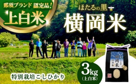 ���ʍ͔|�̂����Ђ���y�����āz�ߐ{�u�����h�F��i �㔒�� 3kg �kP-405�l | ���ʍ͔|�� ���� ���� ���_�� ���N ���S �������ւ̔z���s��