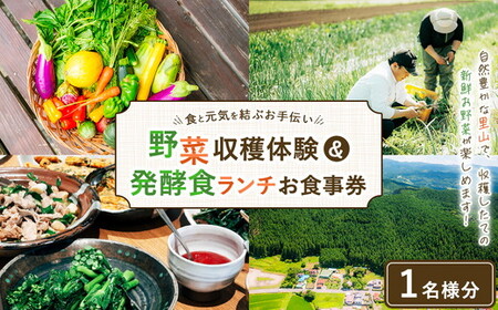 ＼食と元気を結ぶお手伝い/農村レストラン 飛火鞍 収穫体験&発酵食ランチのお食事チケット 1名様分 〔P-434〕 | 野菜 やさい 収穫体験 ランチ 発酵食 体験 お食事券 農業体験 那須町 栃木県