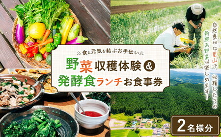 ＼食と元気を結ぶお手伝い/農村レストラン 飛火鞍 収穫体験&発酵食ランチのお食事のペアチケット 〔D-85〕 | 野菜 やさい 収穫体験 ランチ 発酵食 体験 お食事券 農業体験 那須町 栃木県