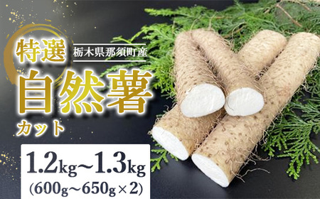 那須町産 自然薯（カット）1.2kg～1.3kg｜カット お土産 贈り物 ご自宅用 とろろ とろろご飯 山芋 健康 国産 産地直送 那須 栃木県 那須町〔P-152〕