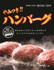 やみつきハンバーグ(3個入)◇ 合挽肉 国産 真空包装 冷凍 那須町 〔P-57〕