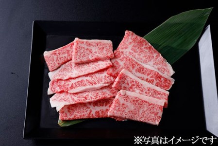 [冷蔵]那須和牛焼肉用A5(並カルビ)牛肉 国産 冷蔵 冷凍 焼肉 那須町〔B-1〕