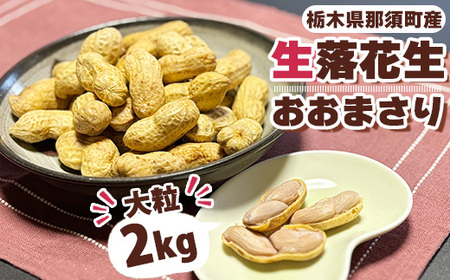 大粒生落花生「おおまさり」2kg|落花生 大粒 ピーナッツ おつまみ 国産 おやつ 冷蔵 那須 栃木県 那須町〔P-82〕※2025年9月上旬〜10月下旬頃に順次発送予定