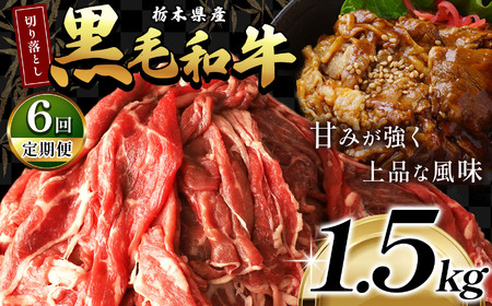 y6zȖ،Yјa؂藎Ƃ1.5kg | a  ؂藎Ƃ ؗ Ă   J  ӂ邳 [  ߉ϐ쒬 Ȗ،