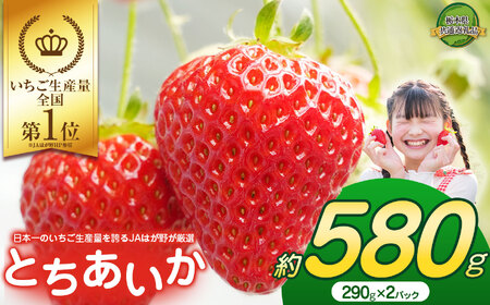 [2026年先行予約]大人気!日本一のいちご生産量を誇るJAはが野が厳選 最旬 とちあいか 290g×2P | いちご とちおとめ 甘い 美味しい 果物 共通返礼品 フルーツ デザート 栃木県 那珂川町 送料無料