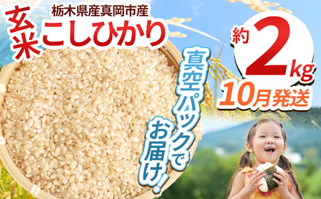 [栃木県共通返礼品][先行予約][ふるさと納税]毎月500個限定!令和7年度新米 栃木県産こしひかり(玄米真空パック) 約2kg 