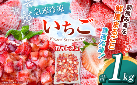 [栃木県共通返礼品]冷凍いちご 1kg | いちご とちあいか 冷凍 冷凍イチゴ スイーツ ジャム スムージー たっぷり 大粒 甘い 美味しい 果物 デザート 栃木県 那珂川町 送料無料