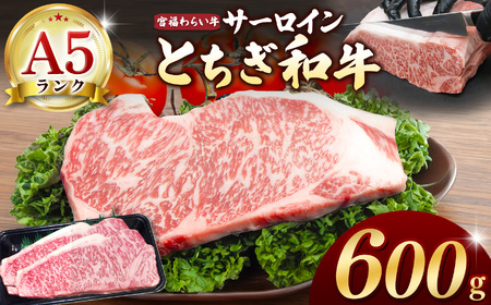 yȖ،ʕԗiz{΋iƂaj A5 T[CXe[L@200g×3