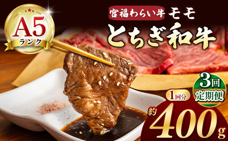 [栃木県共通返礼品][定期便3回]宮福笑牛(とちぎ和牛)A5 モモ焼き肉 約400g