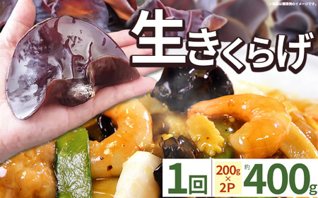 [先行予約][期間限定]生きくらげ 200g×2P ともちゃん農園 