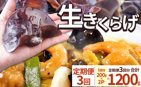 [先行予約][期間限定][定期便3回]生きくらげ 200g×2P ともちゃん農園 