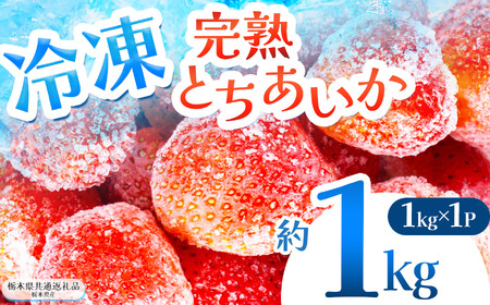 [栃木県共通返礼品]完熟冷凍とちあいか 約1kg | いちご とちあいか 冷凍 冷凍イチゴ スイーツ ジャム スムージー たっぷり 大粒 甘い 美味しい 果物 デザート 栃木県 那珂川町 送料無料
