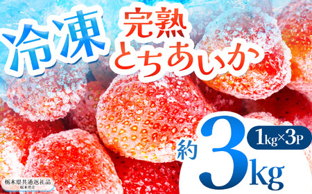[栃木県共通返礼品]完熟冷凍とちあいか 約3kg | いちご とちあいか 冷凍 冷凍イチゴ スイーツ ジャム スムージー たっぷり 大粒 甘い 美味しい 果物 デザート 栃木県 那珂川町 送料無料