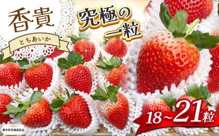 [栃木県共通返礼品][先行予約]とちあいか 「香貴」 18〜21粒 | いちご とちあいか 香貴 朝採れ 大粒 新鮮 甘い 数量 限定 美味しい 果物 共通返礼品 フルーツ デザート 栃木県 那珂川町 送料無料
