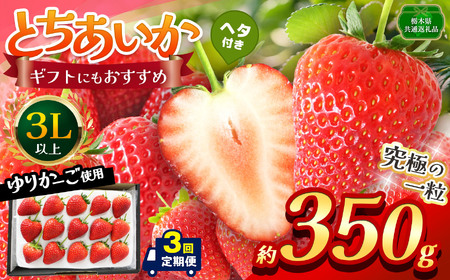 [栃木県共通返礼品][定期便3回][先行予約]とちあいか 3L以上ホール詰め 約350g | いちご とちあいか 香貴 朝採れ 大粒 新鮮 甘い 数量 限定 美味しい 果物 共通返礼品 フルーツ デザート 栃木県 那珂川町 送料無料