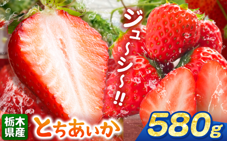 [栃木県共通返礼品][先行予約]とちあいか 580g | 果物 くだもの フルーツ 野菜 やさい ヤサイ 苺 イチゴ いちご とちあいか 新鮮 甘い 数量 限定 美味しい 果物 共通返礼品 フルーツ デザート 栃木県 那珂川町 送料無料