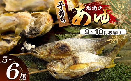 [2026年先行予約][9月〜10月旬の鮎をお届け]子持ちあゆ(塩焼き) 発送日当日池上げした活鮎を焼いてお届け 