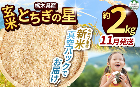 [栃木県共通返礼品][先行予約][ふるさと納税][11月発送分]毎月500個限定!令和7年度新米 栃木県産とちぎの星(玄米真空パック) 約2kg 