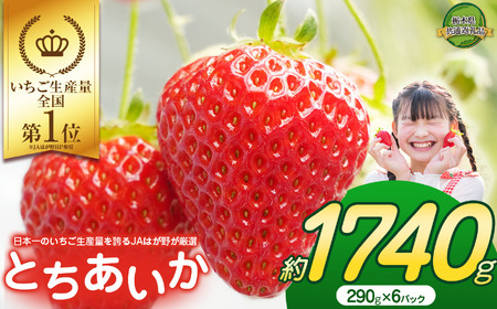 y2026Ns\zlCI{̂YʂւJA͂삪I ŏ{ Ƃ 290g×6P |  ƂƂ Â  ʕ ʕԗi t[c fU[g Ȗ، ߉ϐ쒬 