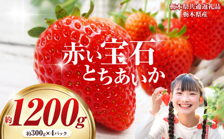 [栃木県共通返礼品][先行予約]赤い宝石「とちあいか」300g×4P| 先行予約 選べる いちご 苺 とちあいか 栃木県 那珂川町 送料無料 デザート ご褒美 美味しい 甘い フルーツ ジューシー