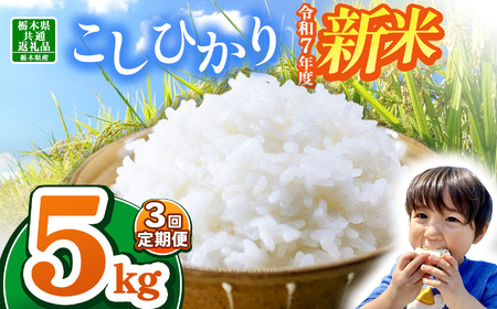 [栃木県共通返礼品][令和7年度新米先行予約]栃木県産コシヒカリ 15kg |定期便 選べる 10月発送 11月発送 12月発送 ふるさと 納税 コシヒカリ お米 精米 白米 玄米 大粒 共通返礼品 送料無料 那珂川町 栃木県