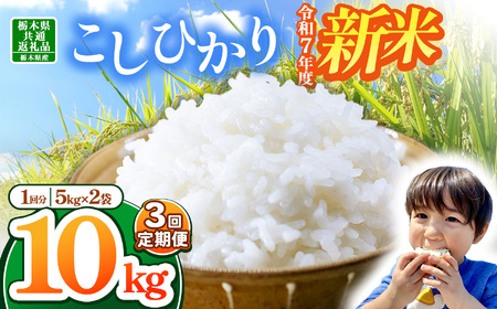 【栃木県共通返礼品】【令和7年度新米先行予約】栃木県産コシヒカリ 30kg |定期便 選べる 10月発送 11月発送 12月発送 ふるさと 納税 コシヒカリ お米 精米 白米 玄米 大粒 共通返礼品 送料無料 那珂川町 栃木県