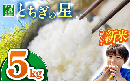 [栃木県共通返礼品][令和7年度新米先行予約]栃木県産とちぎの星 5kg | ふるさと 納税 とちぎの星 お米 精米 白米 玄米 大粒 共通返礼品 送料無料 那珂川町 栃木県