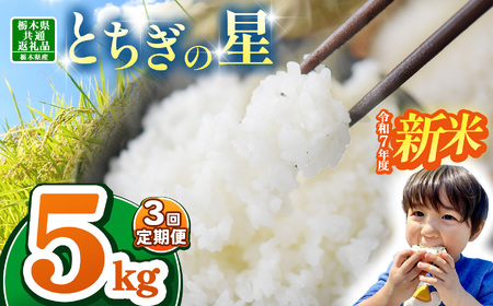 [栃木県共通返礼品][令和7年度新米先行予約]栃木県産とちぎの星 15kg |定期便 選べる 10月発送 11月発送 12月発送 ふるさと 納税 とちぎの星 お米 精米 白米 玄米 大粒 共通返礼品 送料無料 那珂川町 栃木県