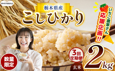 [令和7年度新米][栃木県共通返礼品][数量限定][先行予約][定期便3回]令和7年度新米 栃木県産コシヒカリ 2kg |定期便 こしひかり 数量限定 玄米 米 ごはん 玄米真空パック ふるさと納税 那珂川町 栃木県