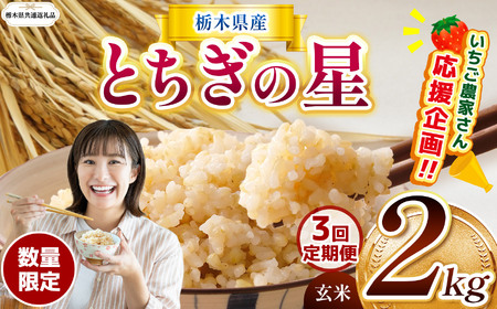 [令和7年度新米][栃木県共通返礼品][数量限定][定期便3回]令和7年度新米 栃木県産とちぎの星 2kg |定期便 とちぎの星 数量限定 玄米 米 ごはん 玄米真空パック ふるさと納税 那珂川町 栃木県