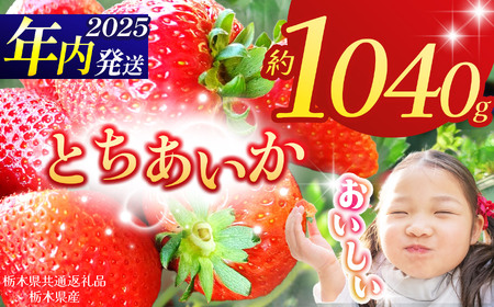 yȖ،ʕԗizy2025Ns\zƂ 260g×4P| N ʕ  t[c  ₳ TC  C`S  Ƃ VN Â    ʕ ʕԗ